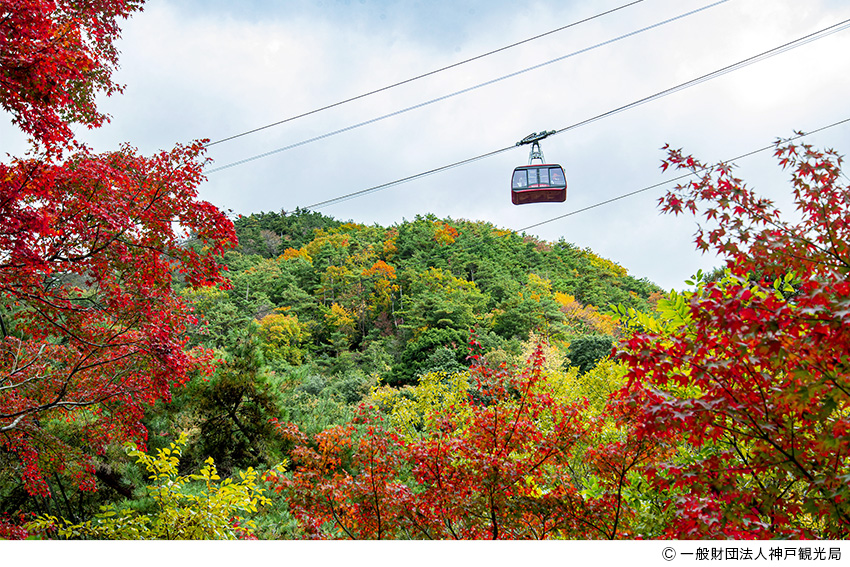 秋の六甲山の見どころ