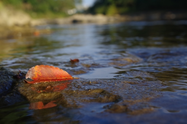 季節の変わり目、水分補給を