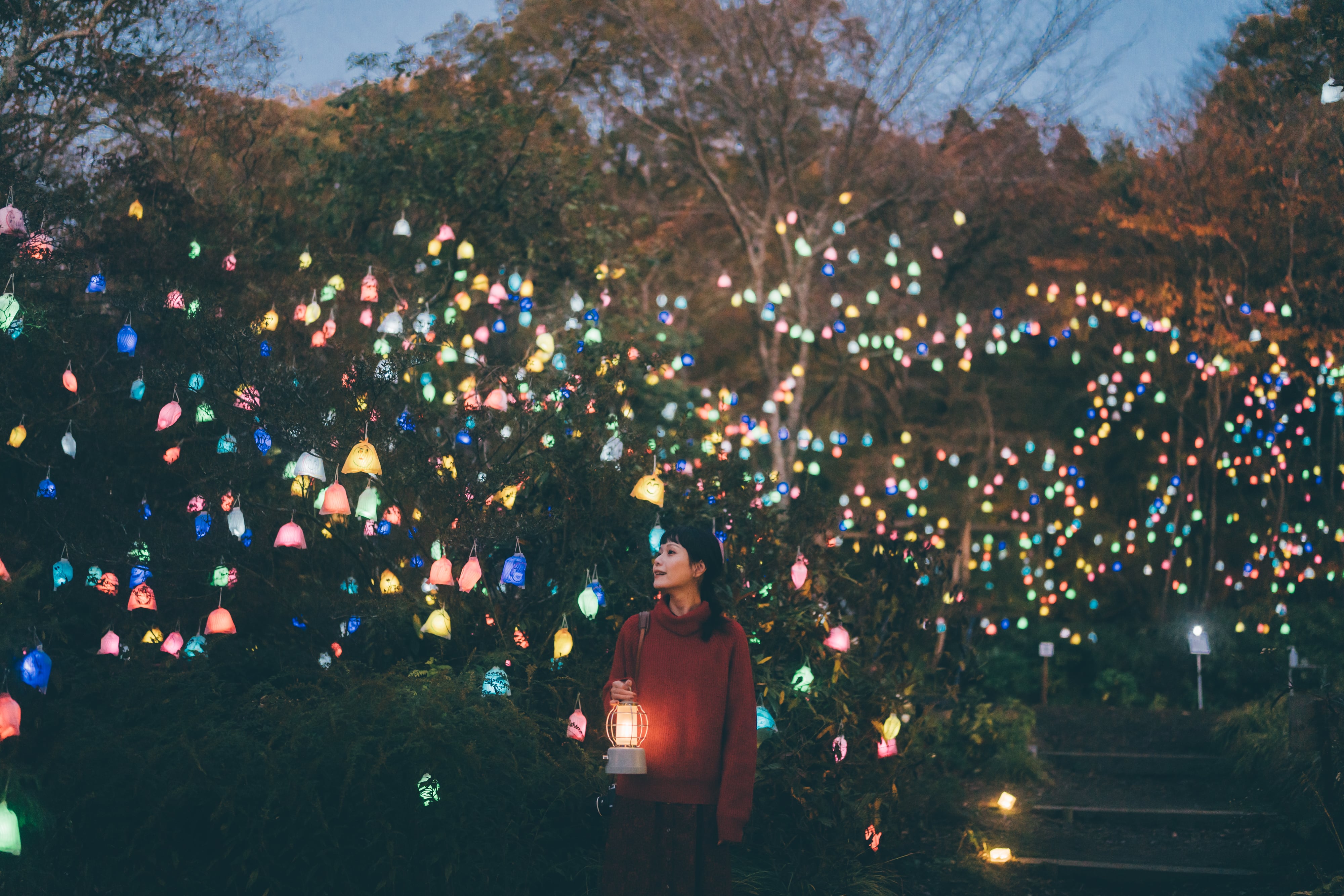 ひかりの森、夜の芸術散歩