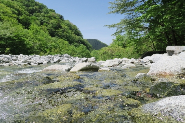 水温む、季節となりました。