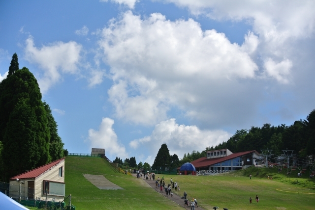 夏休みの自由研究は六甲山にお任せ！