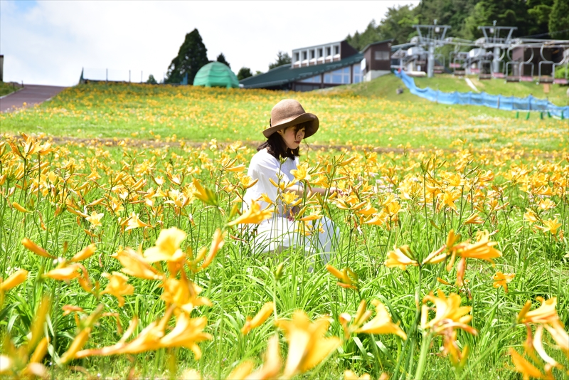 新緑が目に眩しい六甲山上で「初夏の花めぐり ROKKO フォトグラフィックガーデン」を開催中！