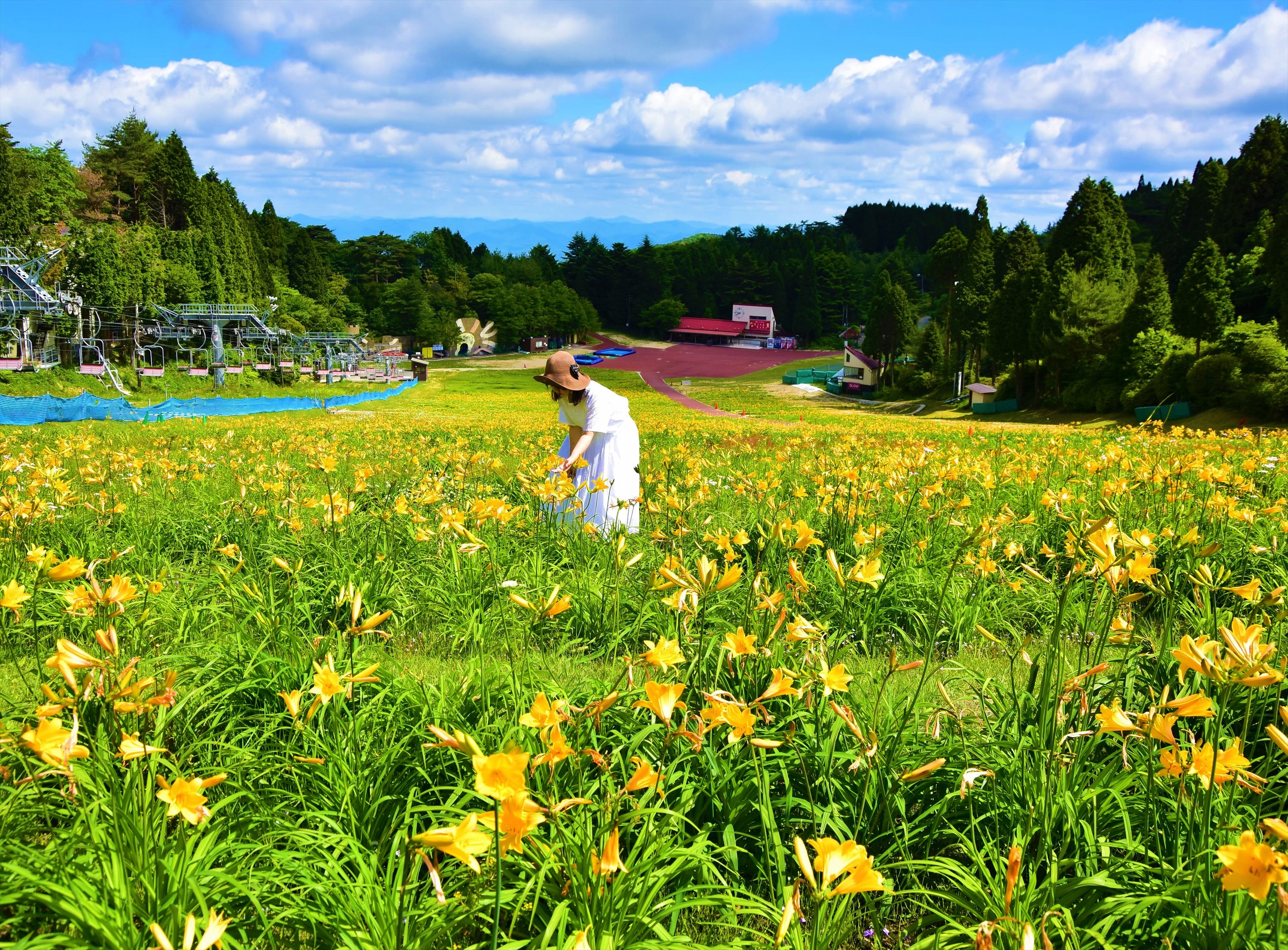 美しい緑と花々あふれる「神戸 六甲山花めぐり」へ行こう！