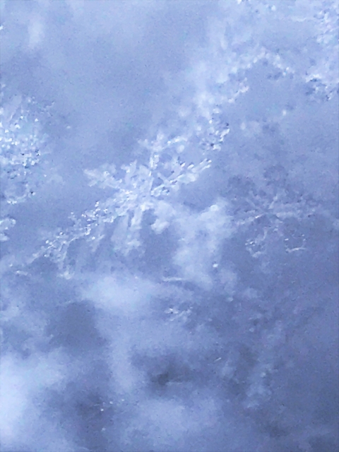 1月20日は「大寒」