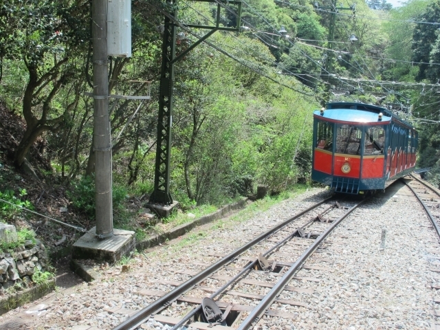 六甲山をおトクに遊ぼう！