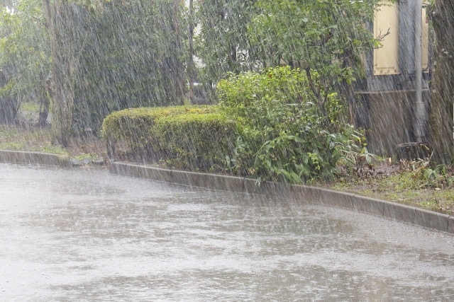 秋の長雨、今年は台風続々